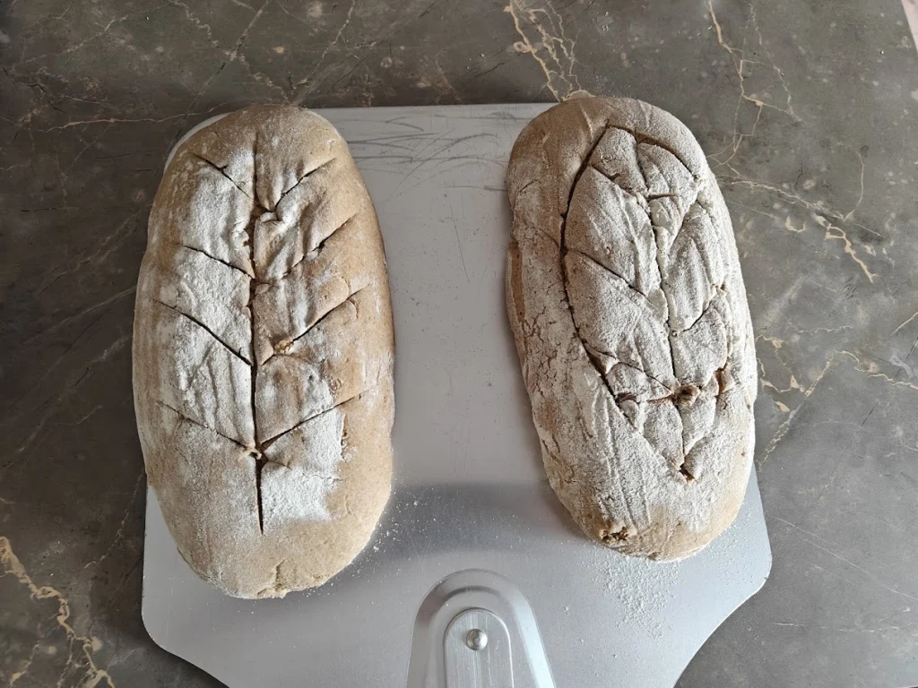 Brotlaibe fertig für den Ofen
