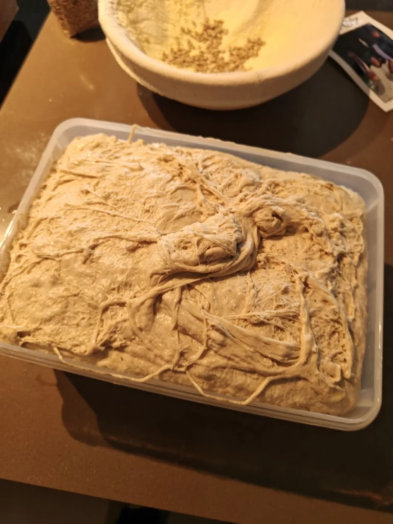 fertig gegangener Teig