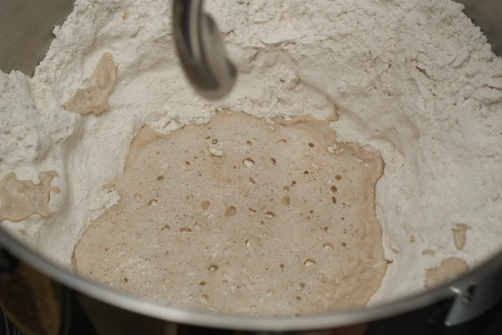 Roggenbrötchen Vinschgauer Art