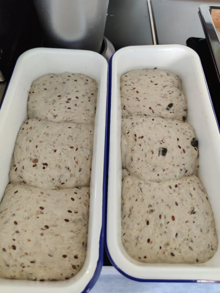 Dinkel Kornbrötchen nach Paulines Rezept