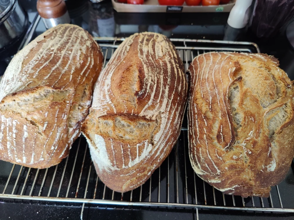 Sauerteig Weizen- Dinkel Laib Ohne Hefe