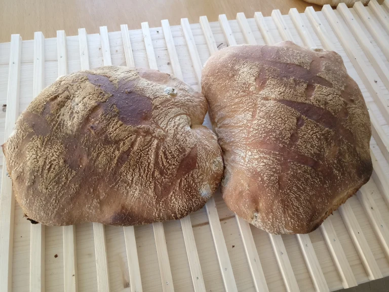Olivenbrot